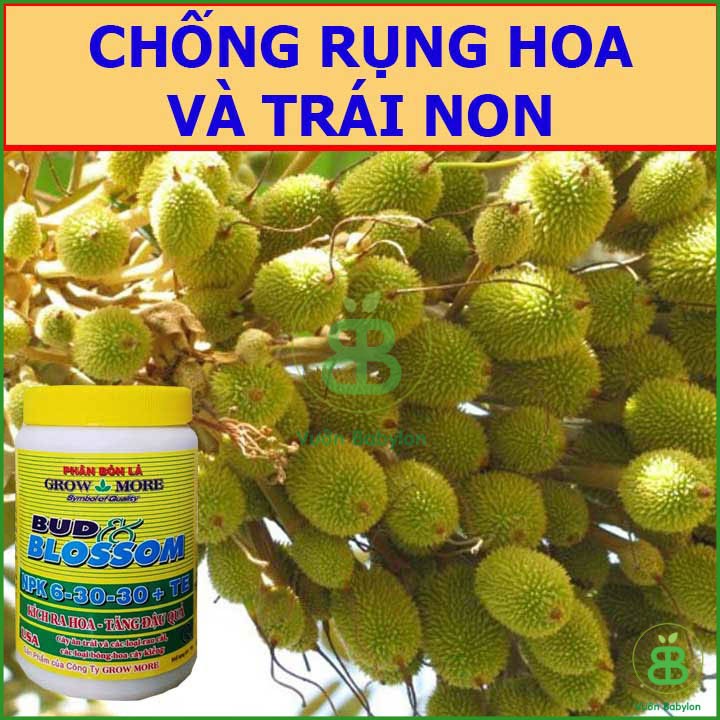 Phân Bón Lá 6-30-30 Growmore Kích Hoa - Phát Triển Bộ Rễ