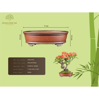 Chậu Bonsai Mini * Gốm Purple Sand (Mẫu 02)
