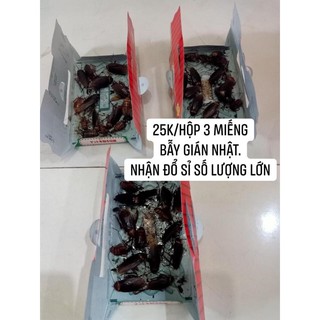 Hộp 3 miếng bẫy gián nhật