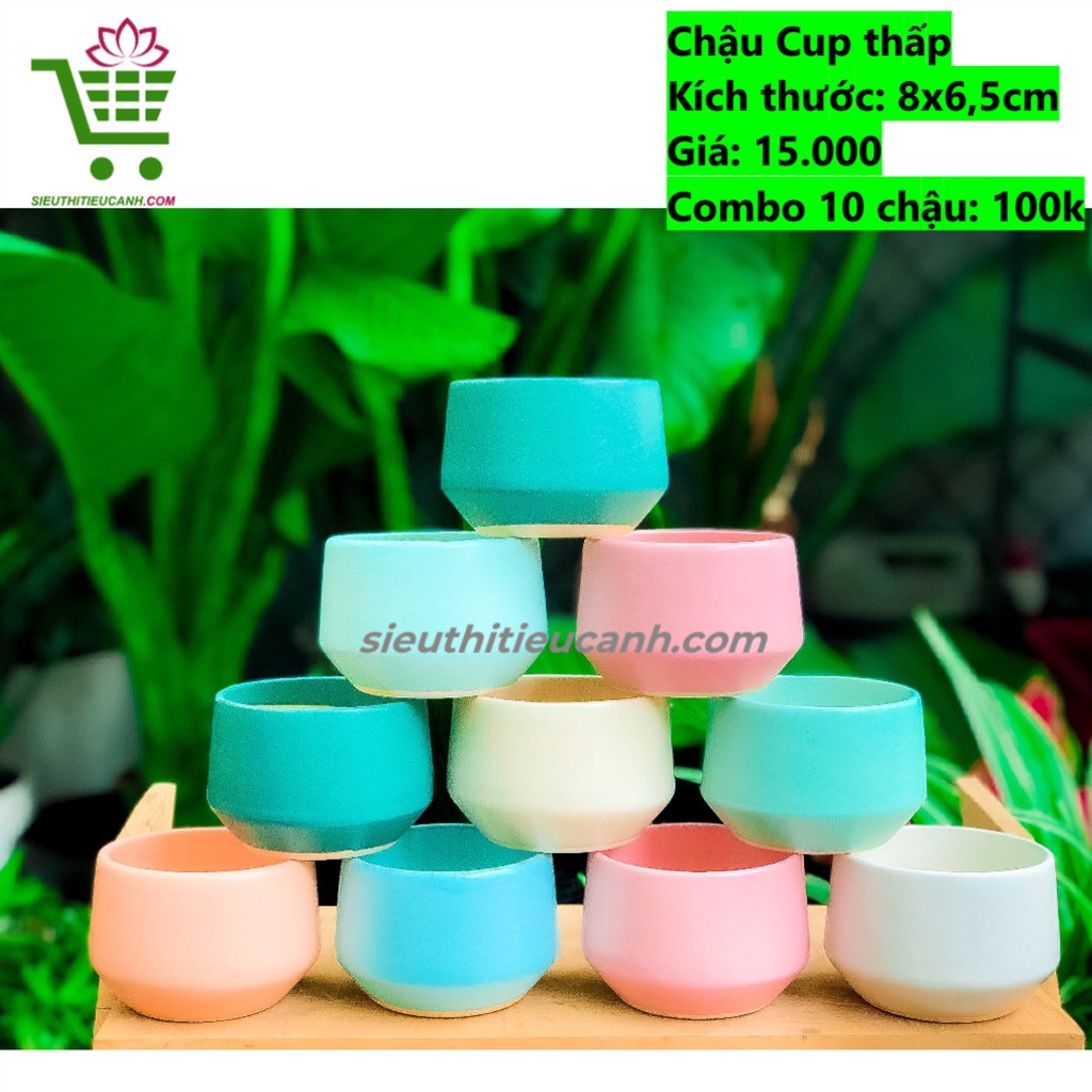 10 CHẬU SỨ HỎA BIẾN CAO CẤP TRỒNG SEN ĐÁ, XƯƠNG RỒNG, DECOR