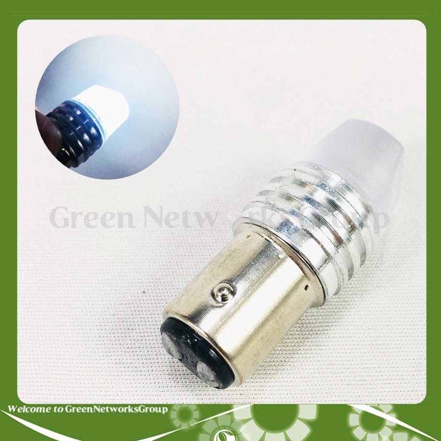 Đèn hậu LED chớp nháy lắp cho mọi loại xe Greennetworks ( Loại đầu đục )