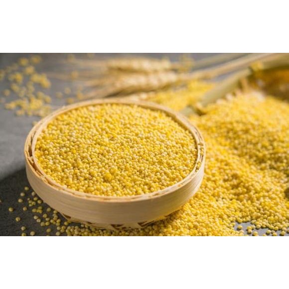 Hạt Kê Nếp Vàng Đã Tách Vỏ Cho Bé Ăn Dặm Bao Dẻo Nấu Bánh Kê Chè Kê Cháo Kê 500G Đặc Sản Nghệ An