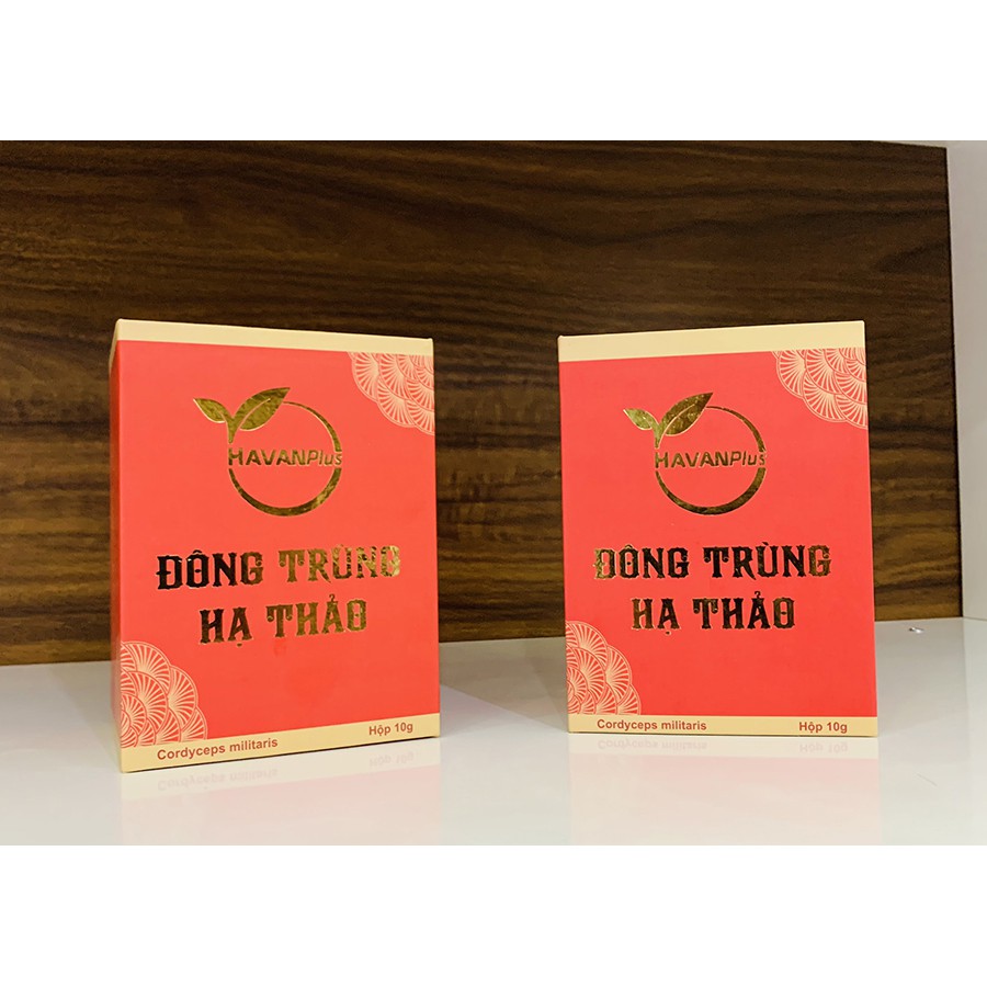 Đông Trùng Hạ Thảo sấy khô hộp 10gr | BigBuy360 - bigbuy360.vn
