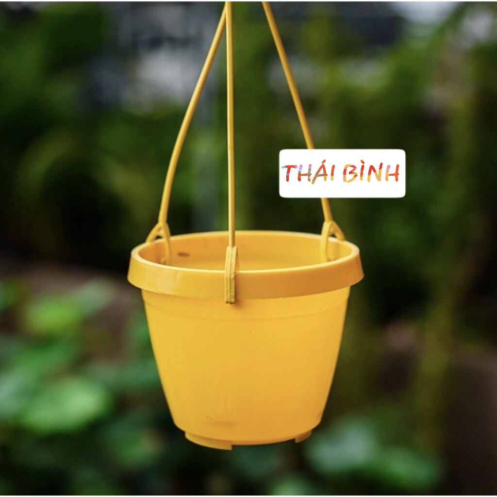 Combo 10 chậu treo mini GIÁ TẠI XƯỞNG (Kèm dây treo)