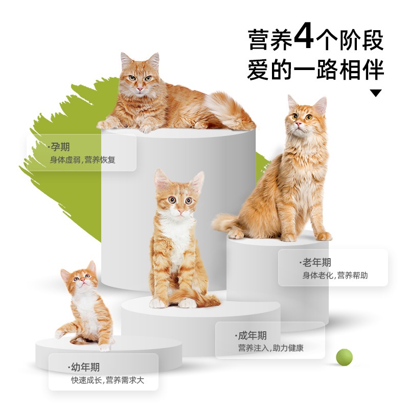 Sữa bột dinh dưỡng gói 5g cho chó mèo CHZK