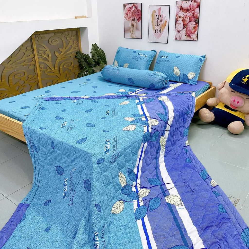 XẢ RẺ drap thun 1m8*2m, ga thun Hàn Quốc 4 món bao đẹp, còn ít bán siêu rẻ