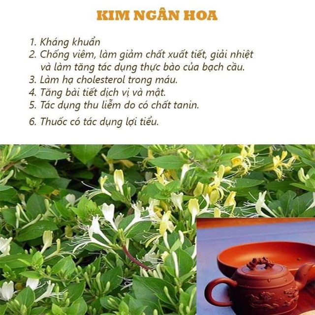 Trà Hoàng Thảo Mộc 200gram