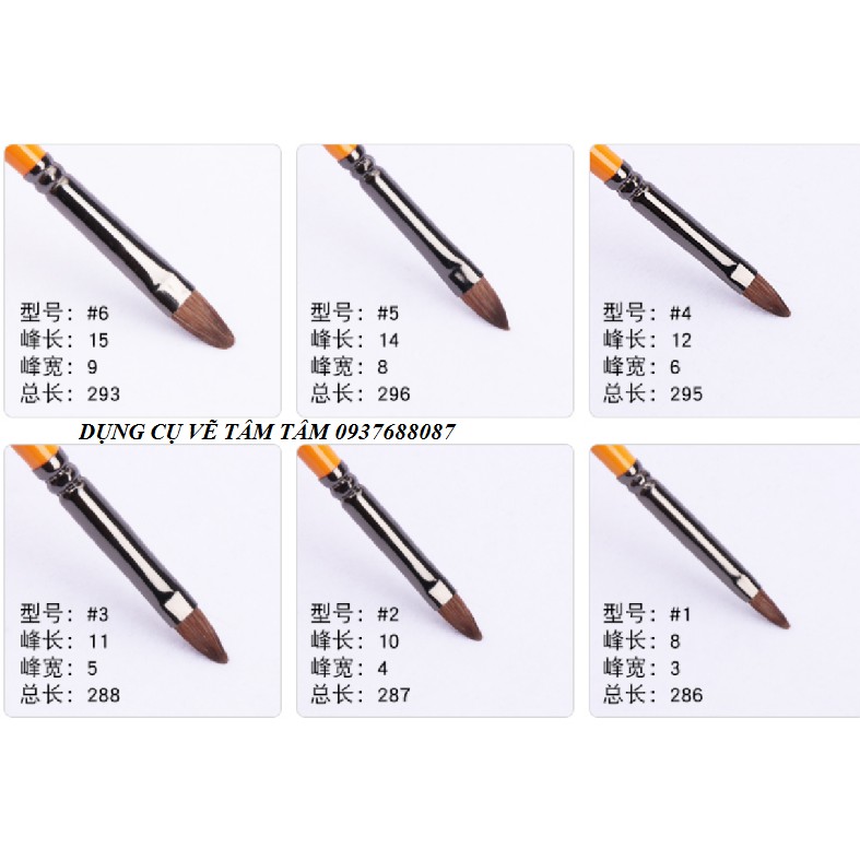 [ TÂM TÂM ]-Bộ cọ đầu oval 12 cây thân cam No A810, Cọ oval-