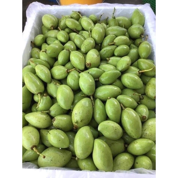 Xoài Bao Tử Và Chấm Thần Thánh