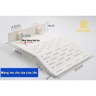 Máng leo cho rùa nước