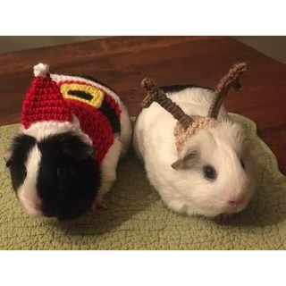 SET LEN NOEL CHO HAMSTER, CHUỘT, BỌ Ú...