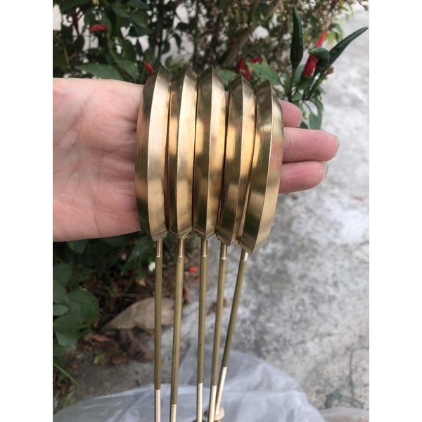 Móc lồng mào mi choè khuyên