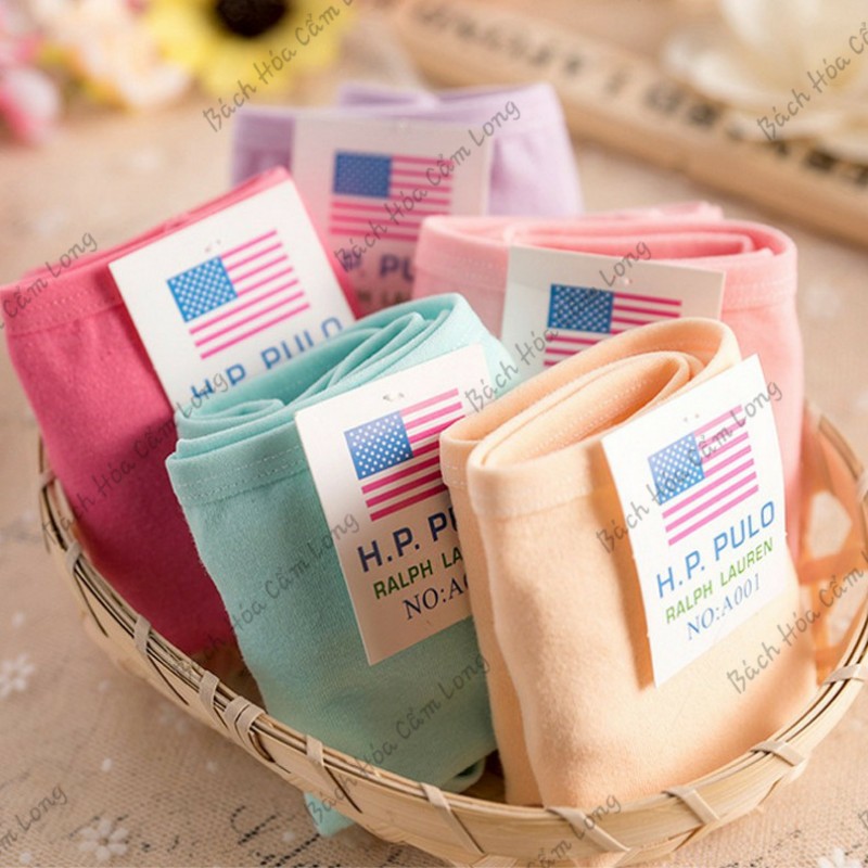 Set Quần Lót Nữ Trơn Cotton Thun Lạnh Sexy Dễ Thương - Combo Đồ Lót Nữ Giá Rẻ, Đẹp, Cao Cấp, Kháng Khuẩn - Cute Gợi Cảm