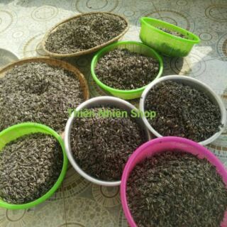 Hướng dương sạch