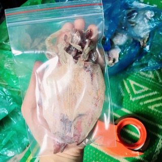 Combo 25 con mực khô mini loại ngon
