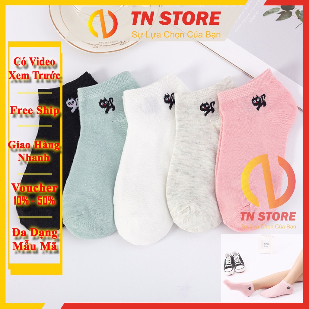 Tất nữ hình mèo set 5 đôi 5 màu TN02