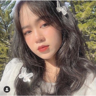 kẹp tóc con bướm ulzzang