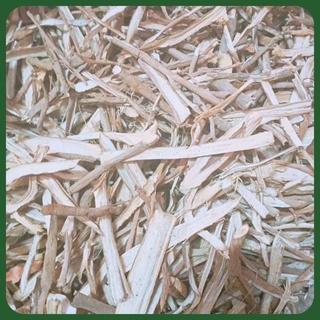 1Kg Sâm cau rừng loại 1