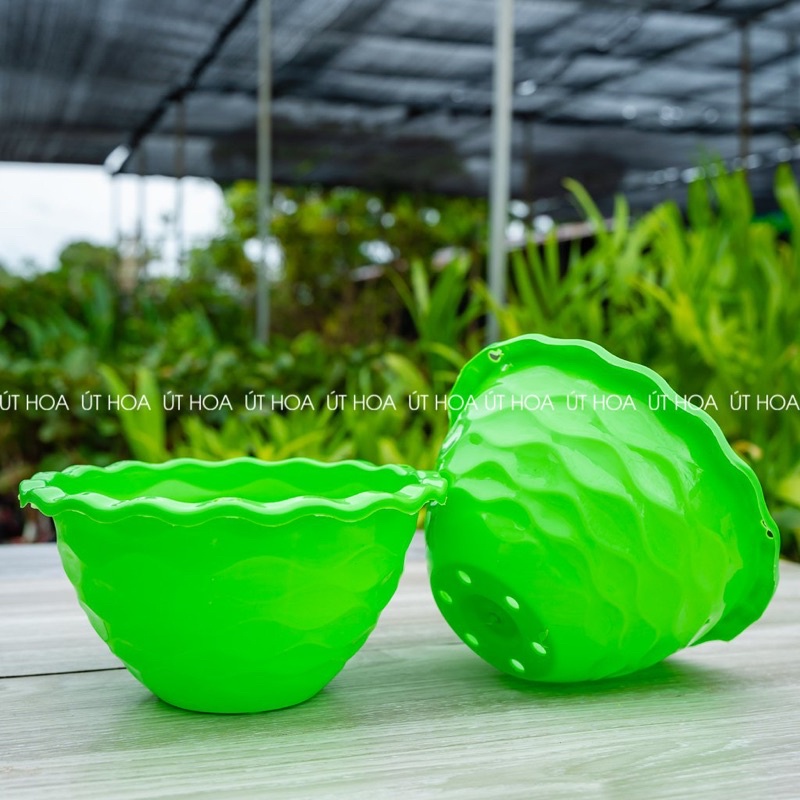 (KÈM DÂY TREO) Chậu treo lưới miệng rộng đẹp mắt