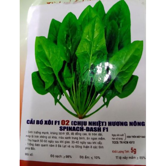 HẠT GIỐNG CẢI BÓ XÔI - GÓI 5 GRAM
