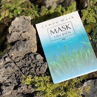BỘT TẢO BIỂN DƯỠNG TRẮNG HANDMADE - LEMON MASK (cọ, băng đô)