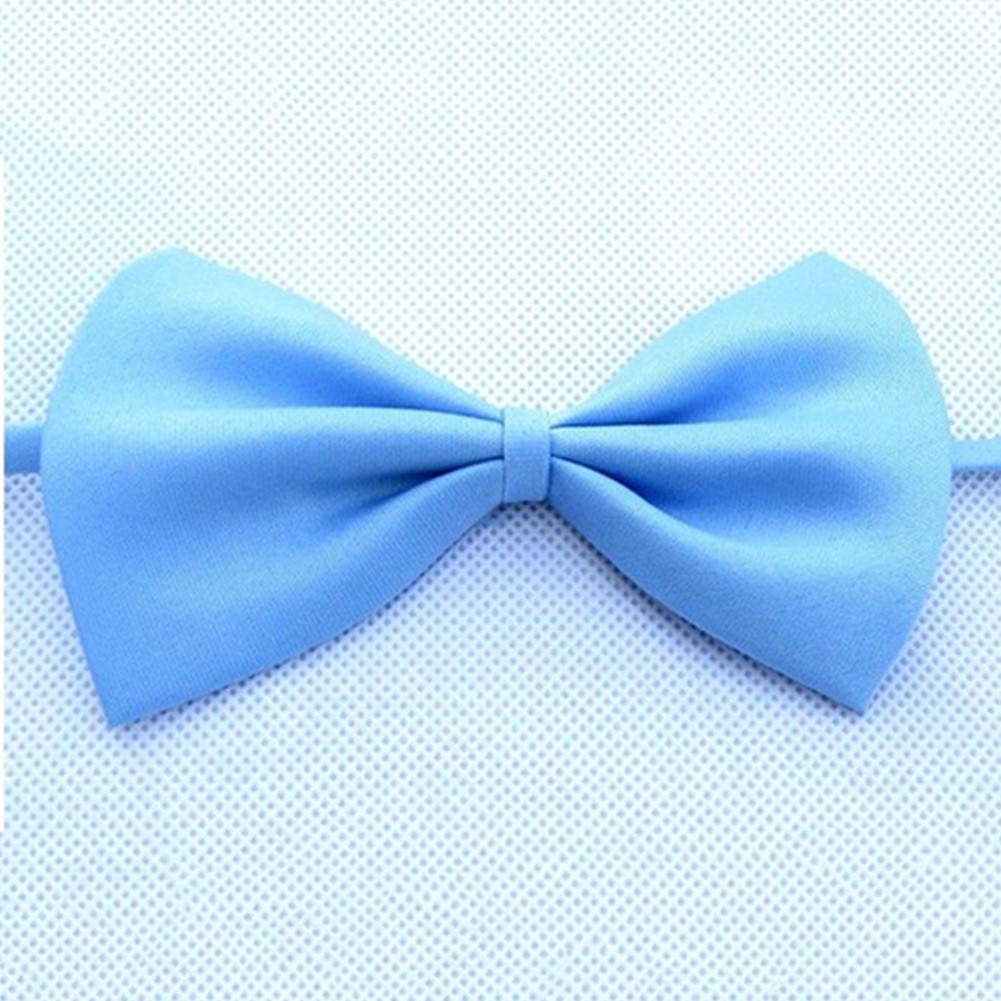 Nơ đeo cổ nhiều màu sắc lựa chọn dành cho thú cưng