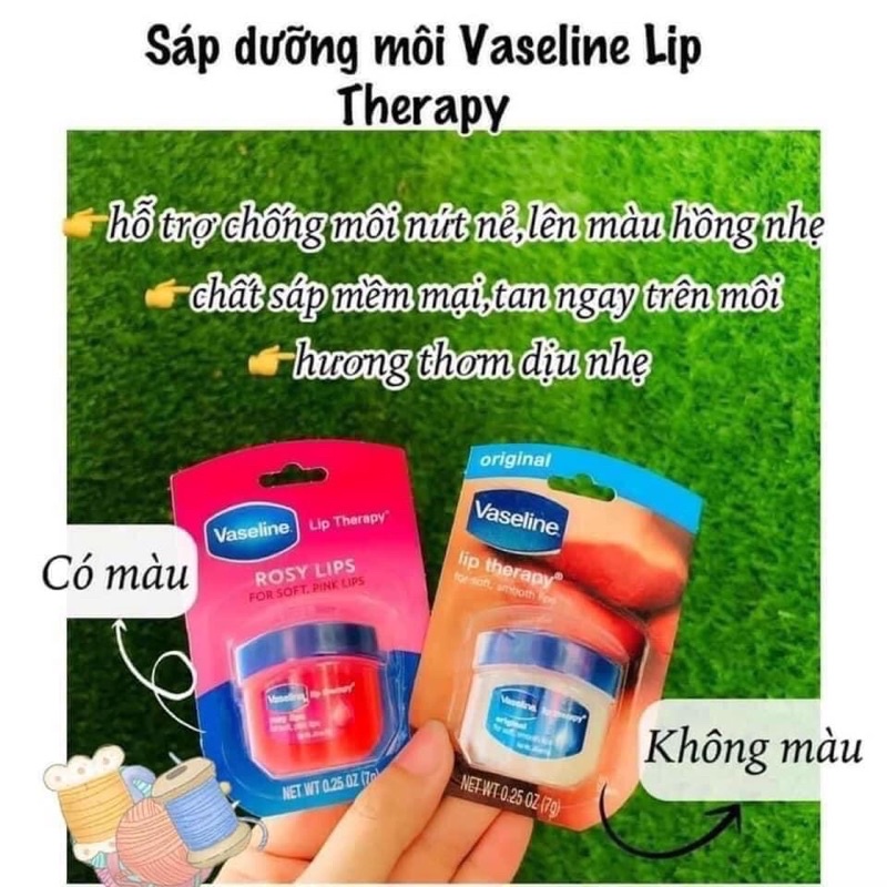 Dưỡng môi Vaselin/ dưỡng ẩm hũ 7g