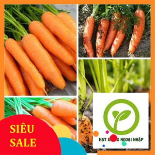 gói 10 gr giống cà rốt HAT F1