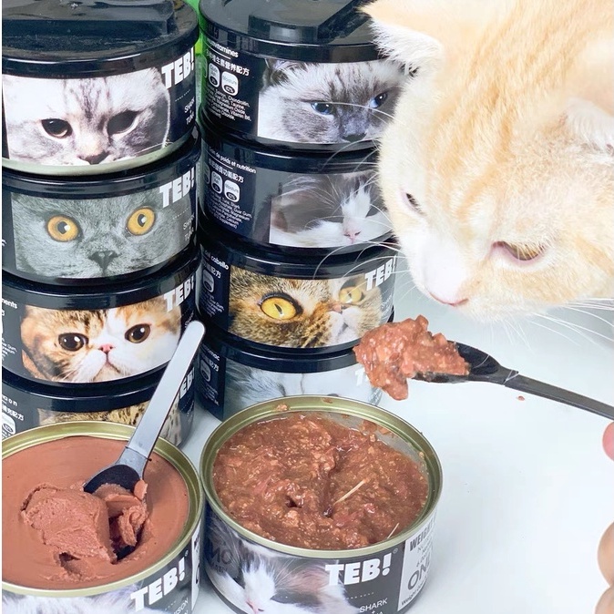 Pate Teb! Only Cao Cấp Cho Mèo 170g