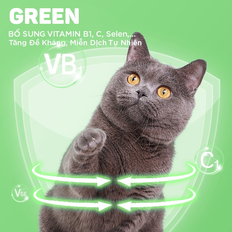 Vitamin cho chó mèo GREEN Pet-Plus 150g Từ AMITAVET giúp thú cưng tăng đề kháng bổ xung vitamin ăn ngon phát triển tốt