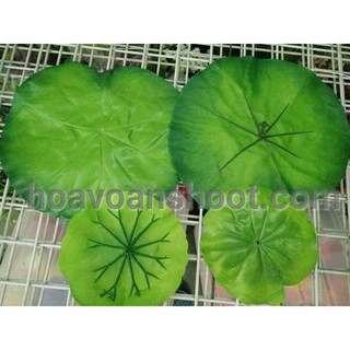 Lá sen vải
