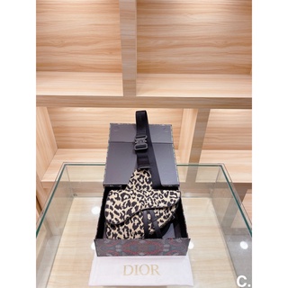 Túi Dior đeo chéo cho nữ