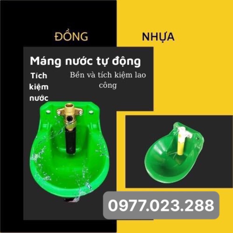 Máng uống tự động cho dê, cừu chất lượng cao - Hà Vân Store