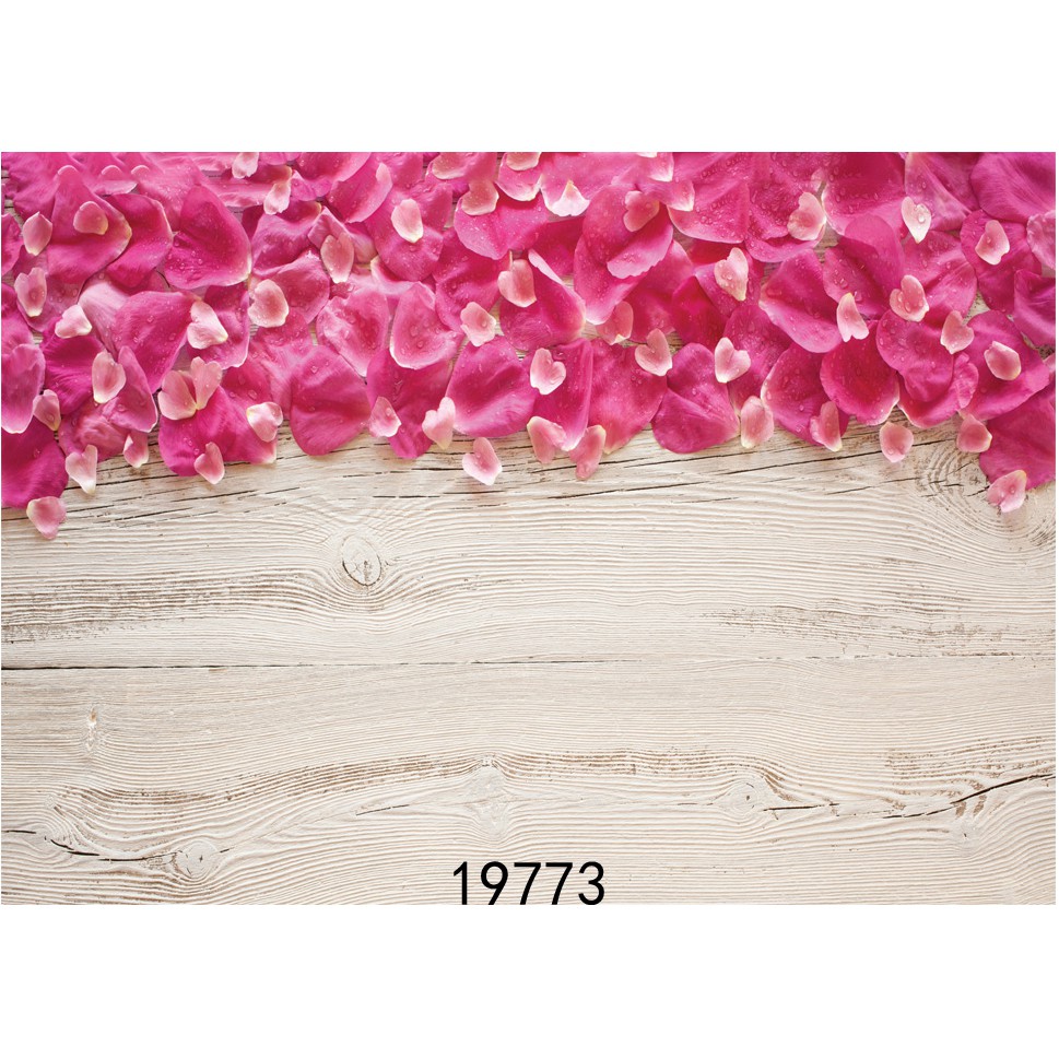 TẤM PHÔNG CHỤP ẢNH NỀN CHỤP ẢNH THẢM CHỤP ẢNH MS 19773 CHAT ĐỂ CHỌN MẪU