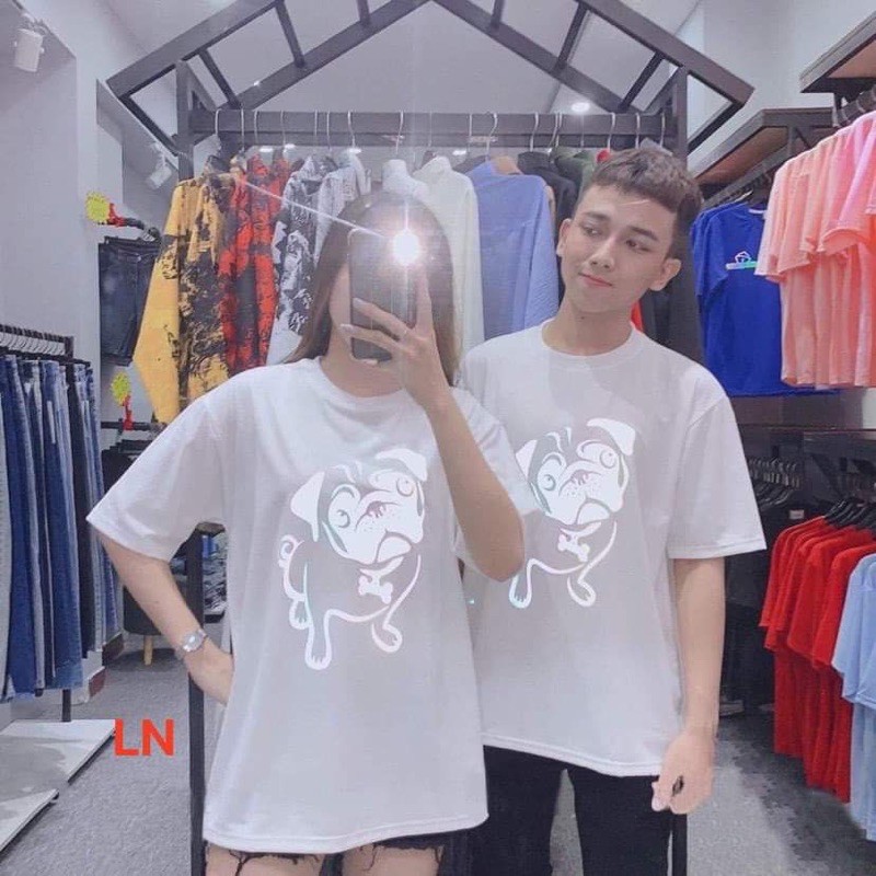 Áo phản quang cún nghiêng đầu LN12