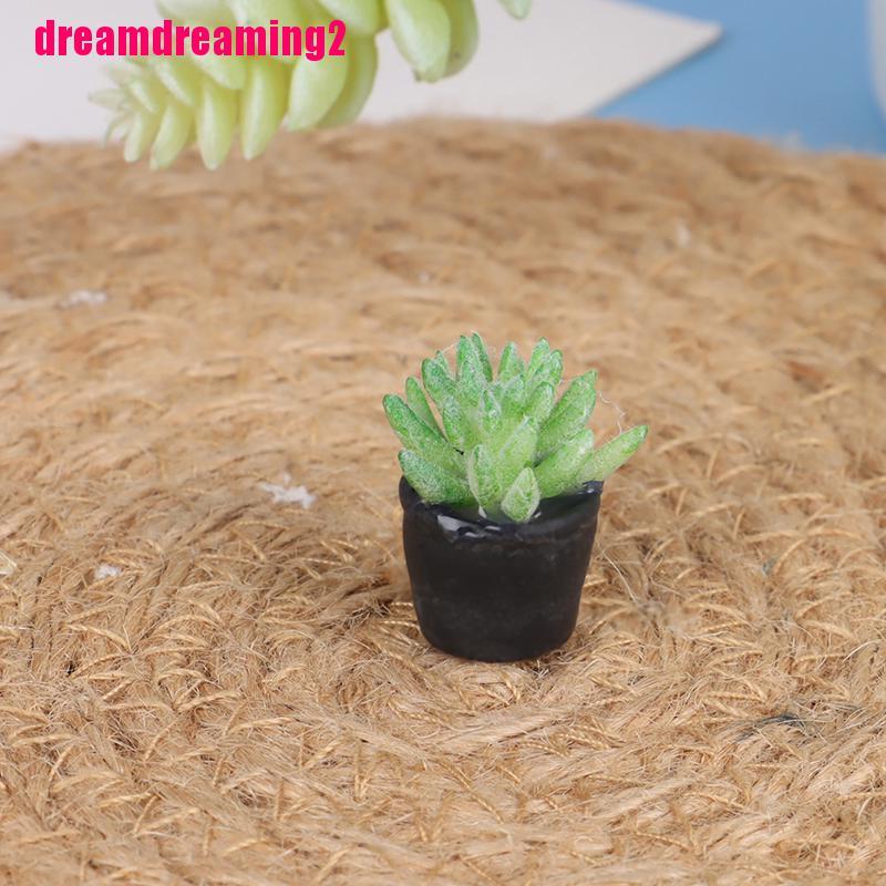 Bộ 5 Mô Hình Chậu Cây Mini Tỉ Lệ 1: 1 Dùng Để Trang Trí Nhà Búp Bê