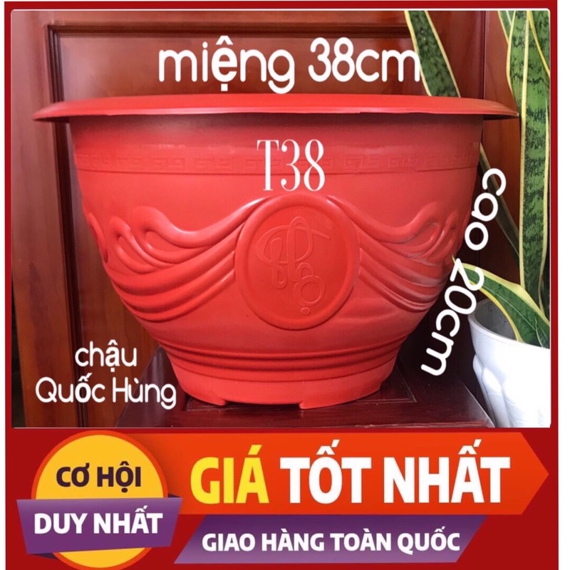 Chậu nhựa đỏ trồng cây,trồng hoa,trồng rau truyền thống Phước Lộc Thọ
