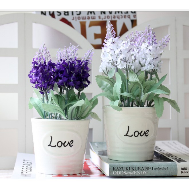 Chậu hoa lavender siêu xinh (giá cả hoa và chậu sứ)