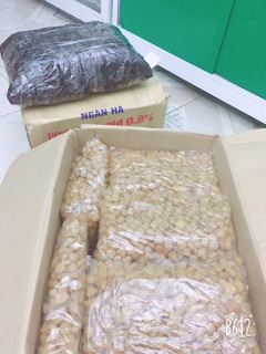 Long Nhãn số 1 Hưng yên