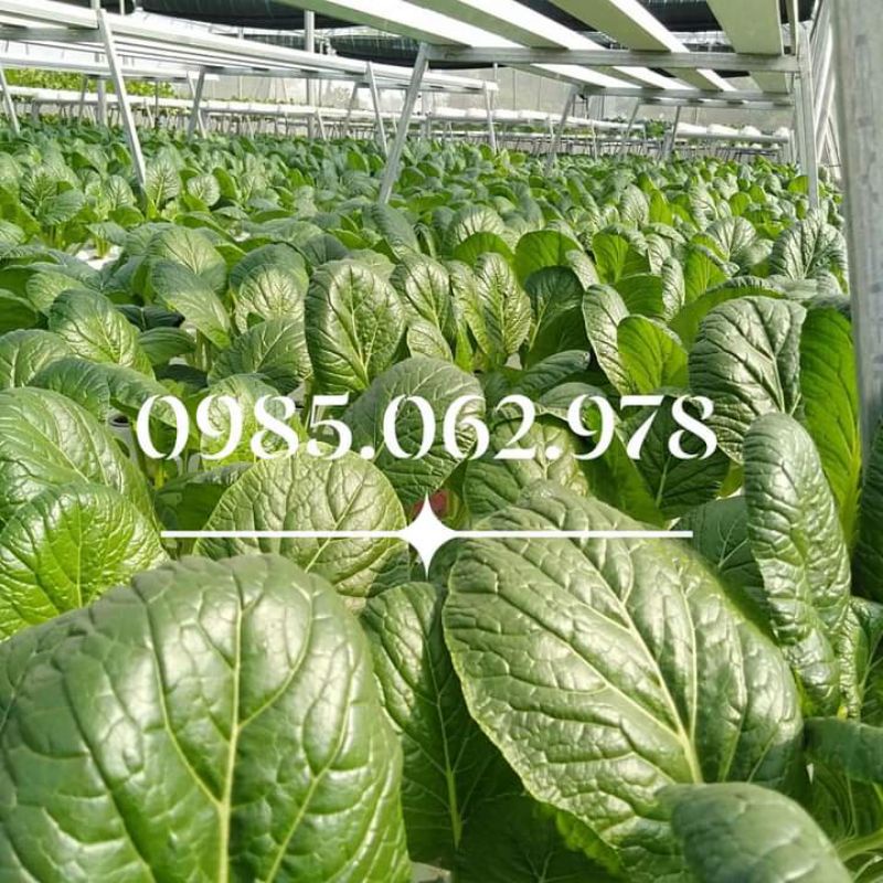 Muối Epsom Salts nhập khẩu bỉ. Muối tắm,muối dùng cho Phòng thí nghiệm