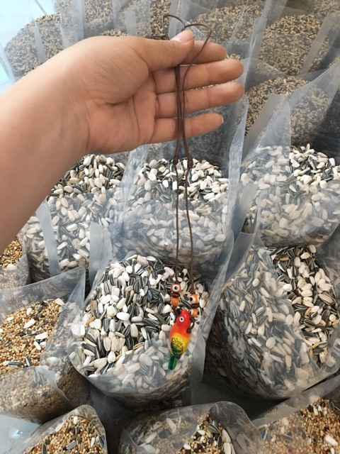 Còi huấn luyện vẹt