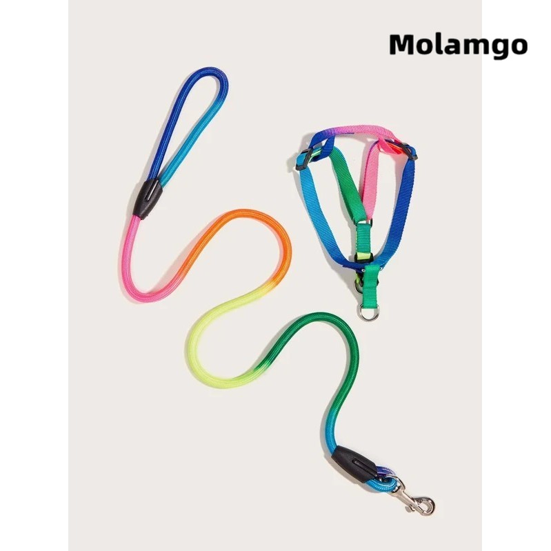 Dây Dắt Thú Cưng Đi Dạo Nhiều Màu Sắc