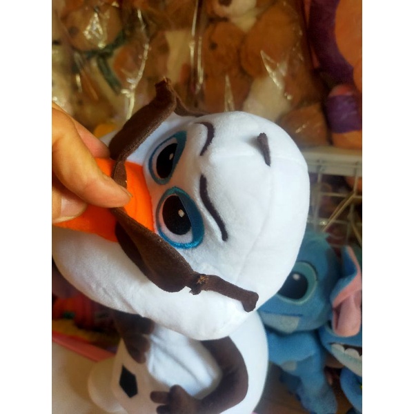 Gấu bông Olap bự, ảnh thật kèm clip ☃️☃️☃️