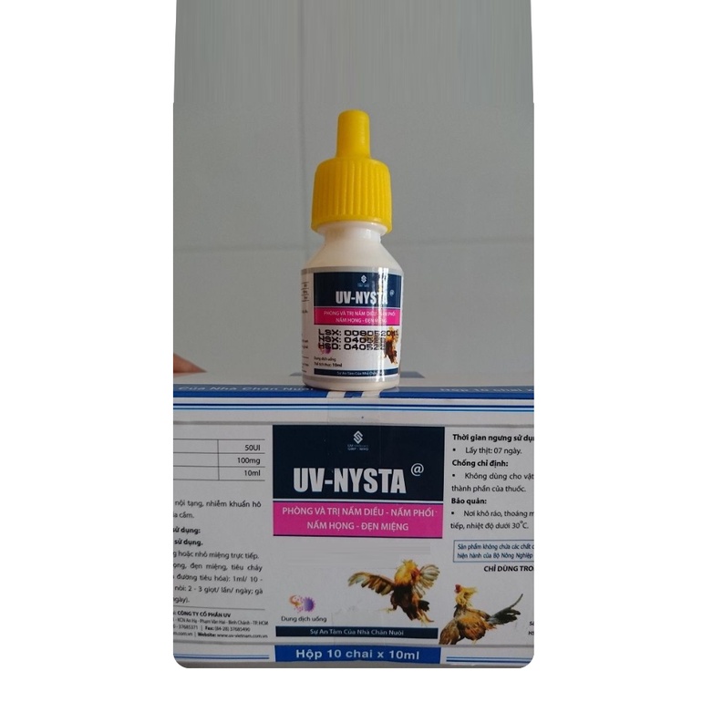 1 CHAI UV-NYSTA NẤM DIỀU