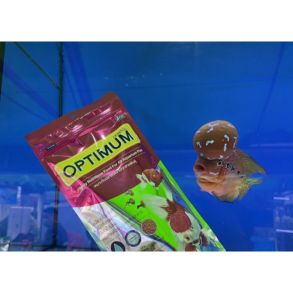 Thức ăn cho cá cảnh- OPTIMUM  - -cho cá vàng, cá ba đuôi, cá kiếm, ông tiên, Betta