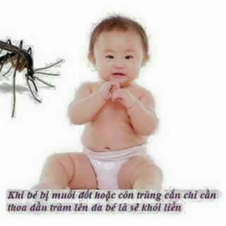 DẦU TRÀM THIÊN AN