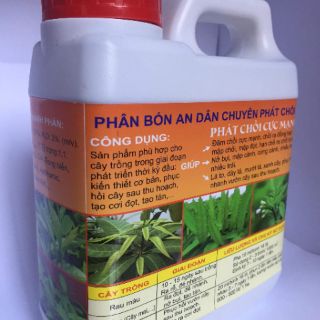 VUA ĐÂM CHỒI