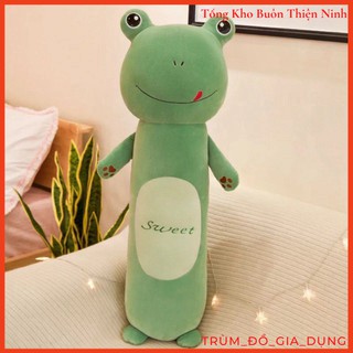 Gối Ôm/Gấu Bông Dễ Thương (Thỏ, Ếch, Khỉ, Sư Tử)