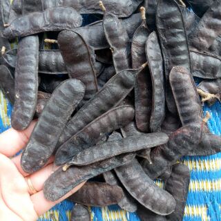 Bồ kết khô 500gr