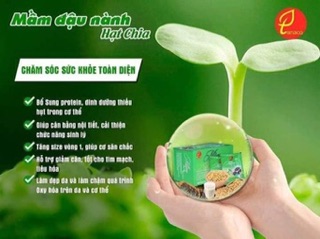 Mầm đậu nành hạt chia